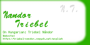 nandor triebel business card