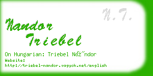 nandor triebel business card